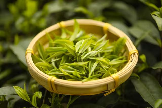 富硒绿茶